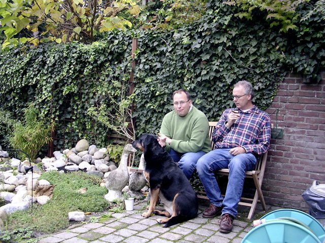 Buffelen in Bussum